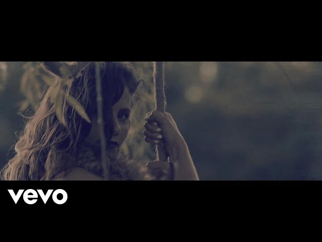 POL-Y - Salvajes (Lyric Video)