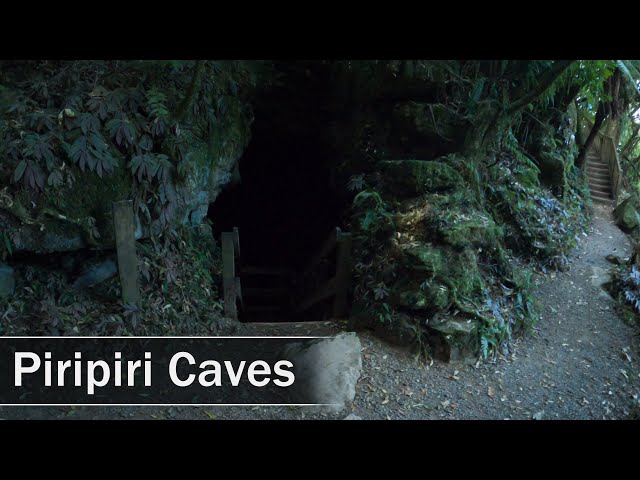 Piripiri Caves, Waitomo, New Zealand | 4K