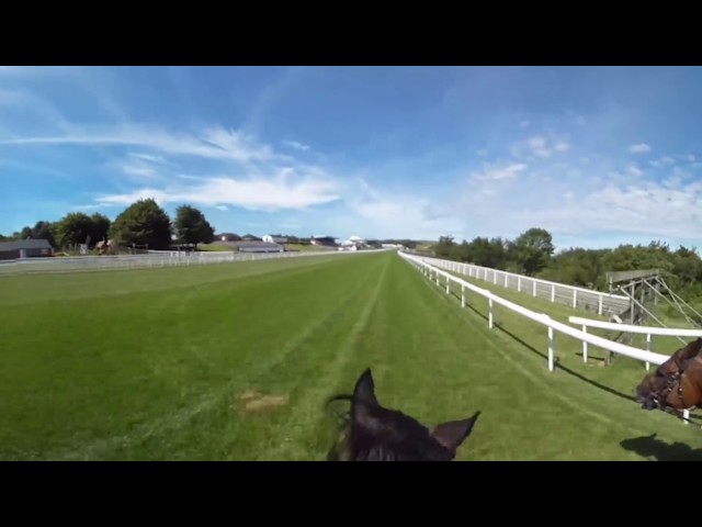 Virtually Ride the Sussex Stakes Mile with Hayley Turner