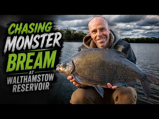 Chasing Monster Bream at Walthamstow Reservoir
