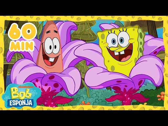 Bob Esponja | ¡60 minutos de los NUEVOS MEJORES momentos de Bob Esponja! | Bob Esponja en Español