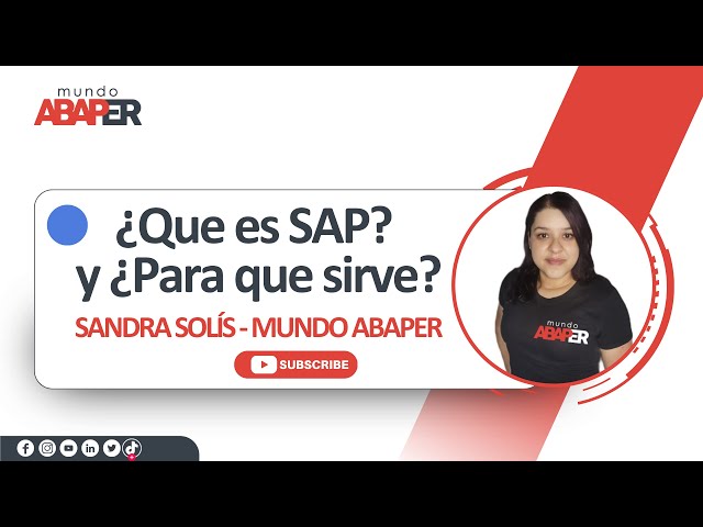 What is SAP and what is it for? - explained in less than 5 minutes