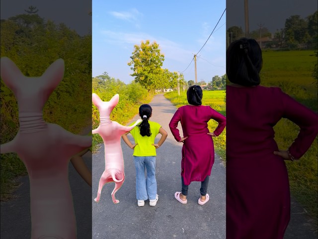 Cute girl dancing with cat 🤣🤣comedy video #shorts #reels #trending #viral #shorts
