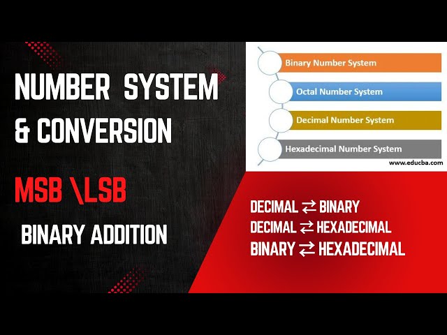 Complete Number System Guide | All Conversions, MSB–LSB & Binary Operations