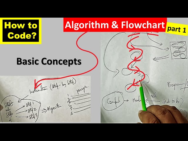 Algorithm & Flowchart (part 1) | CODING Basics