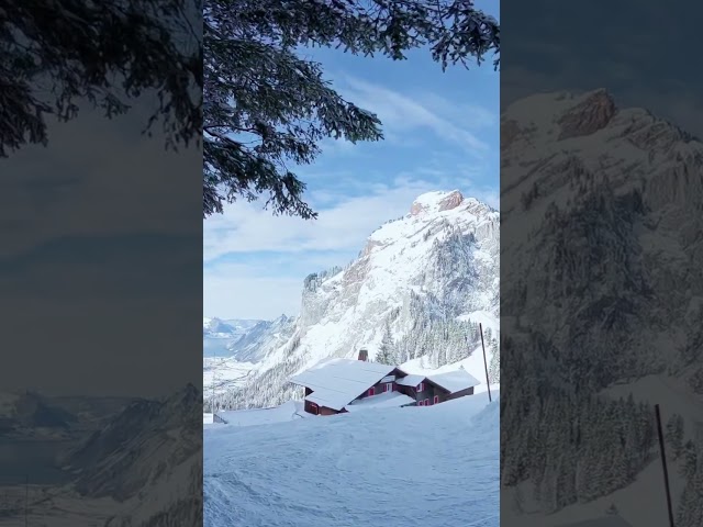 Preview: Swiss Winter Hike