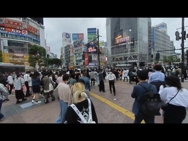 【VR180/3D/VR】ZOC THE FINAL 渋谷ジャック/ 2022-05-15