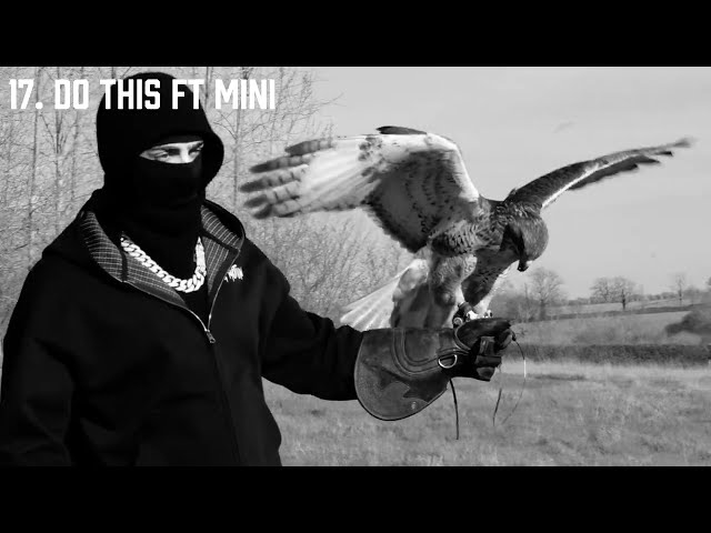 BM - Do This ft Mini (Audio)