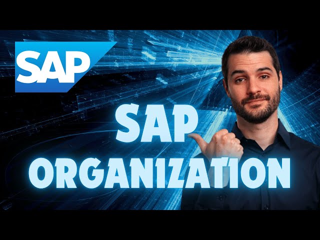 SAP Organization Explained