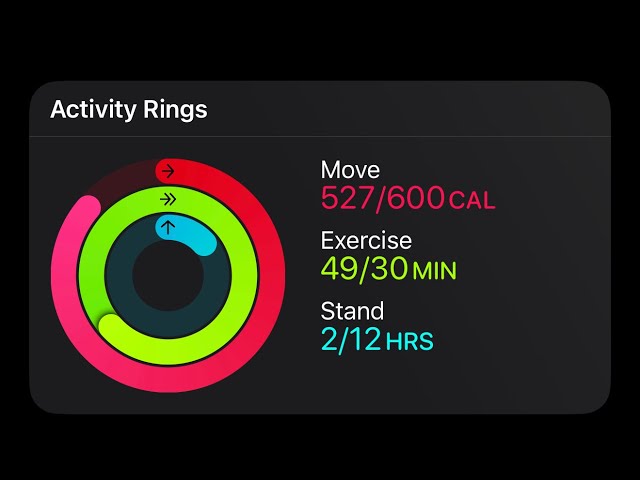 Fighter’s Body Shadowboxing Shred (Aug 29) | Push-Ups + Pull-Ups Added | Train With Me