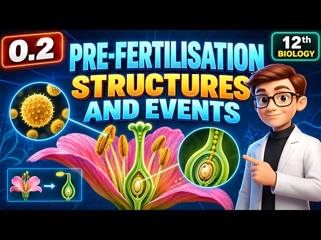 Pre-Fertilisation – Structures and Events | Sexual Reproduction in Flowering Plants |  12th Biology