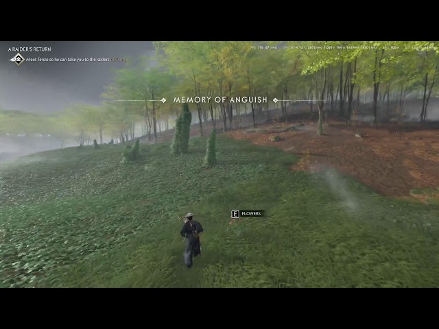 Ghost of Tsushima ( IKI ISLAND)