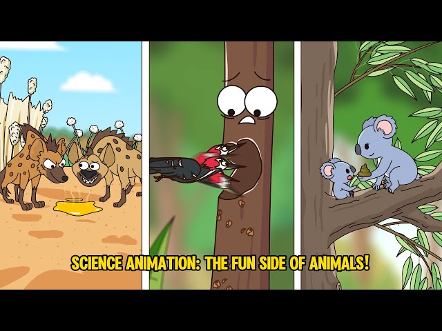 Animal Science Animation: Explaining complex concepts in a fun and accessible way.