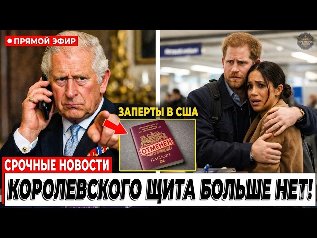 How did Megan freeze her plane and change the British constitution? | The Sussex Scandal 2026