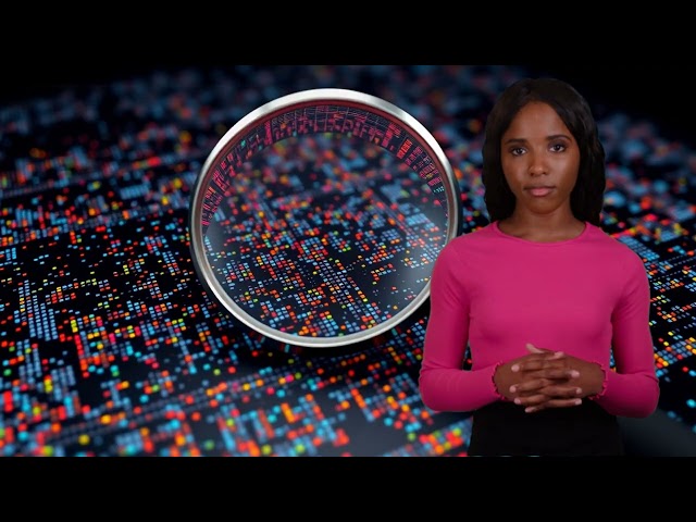 EDA Exploratory Data Analysis in AI