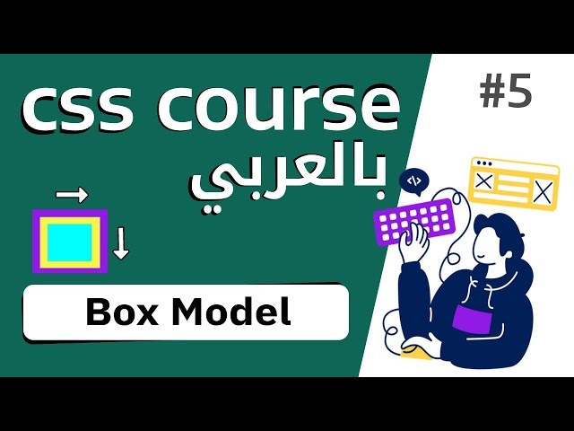 #5 شرح كامل عن box model | border- margin - padding