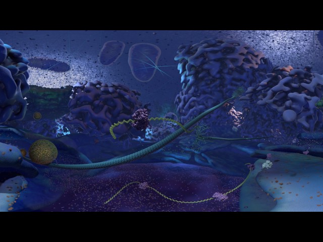 Cellscape VR Biology Guided Tour for Kids