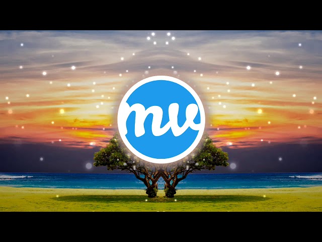 Basa Basa Beat / Nana Kwabena / No Copyright Music