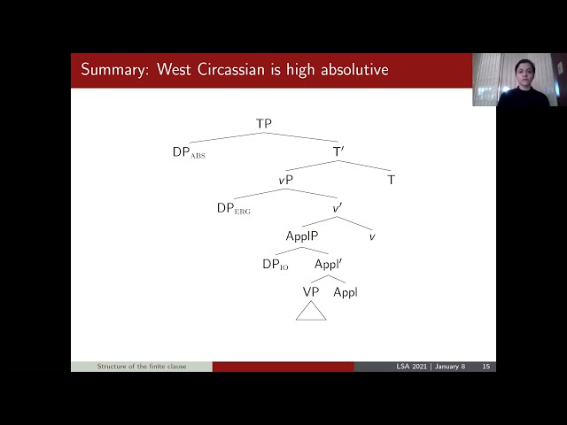 #LSA2021 Morphosyntax:  Nominalizations