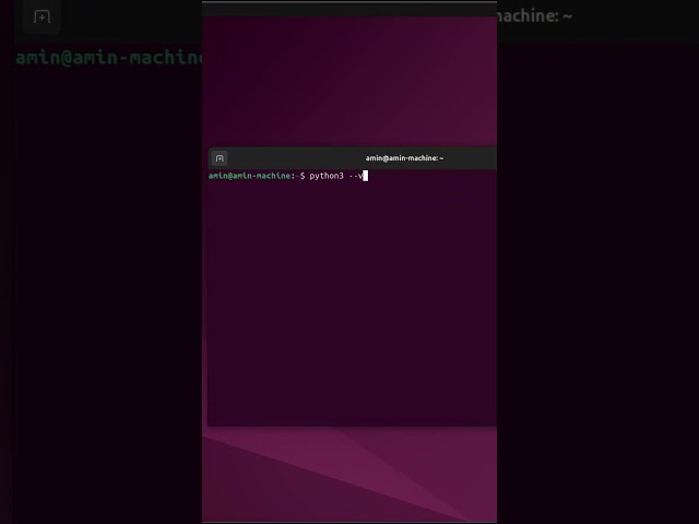 Python3 on Linux in seconds 🐧⚡