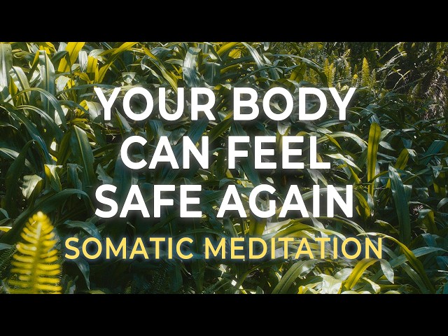 Vagus Nerve Reset Meditation | Somatic Healing for Anxiety & Nervous System Calm