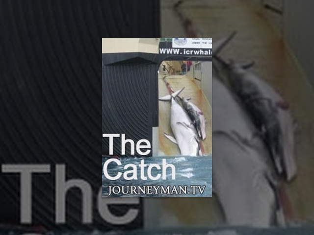 The Catch