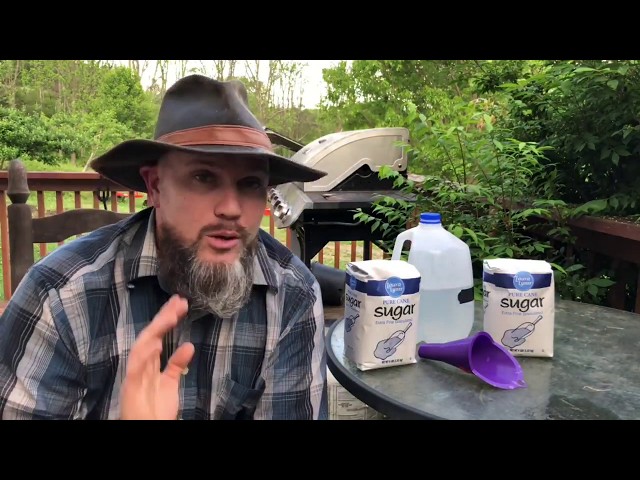 The Easiest, No Mess 1:1 Bee Sugar Syrup Recipe!