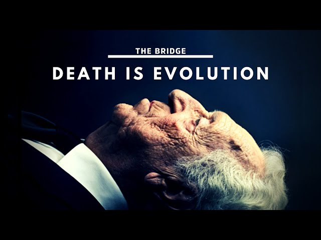 Why We Shouldn't Fear Death: From A Cosmic Perspective| The Bridge