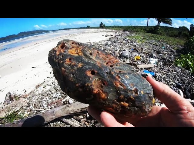 BEACHCOMBING FOR 4 to 12 MILLION YEAR OLD AMBER ! + FOUND LOST CAMERA EP2