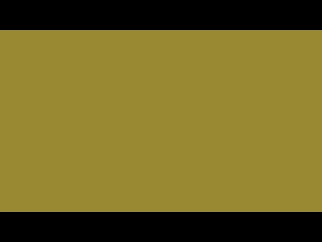 A Color a Day: Lively Pumpkin - #998833 rgb(153, 136, 51) - 2024-12-23 — Color Screensaver
