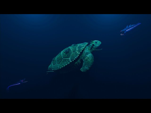 Void worm and void el gran maja vs maturin | sea monsters animation part 1
