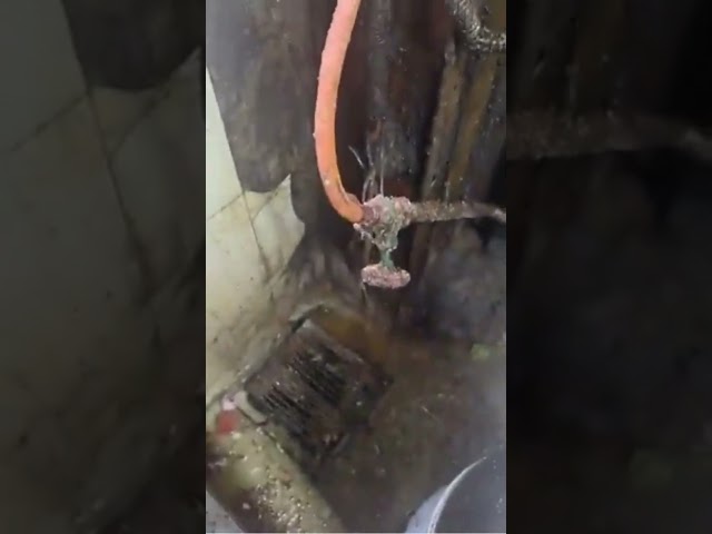 Samosas Kept Near An Open Drain At Malad Eatery; FDA Suspends License Immediately | #shorts