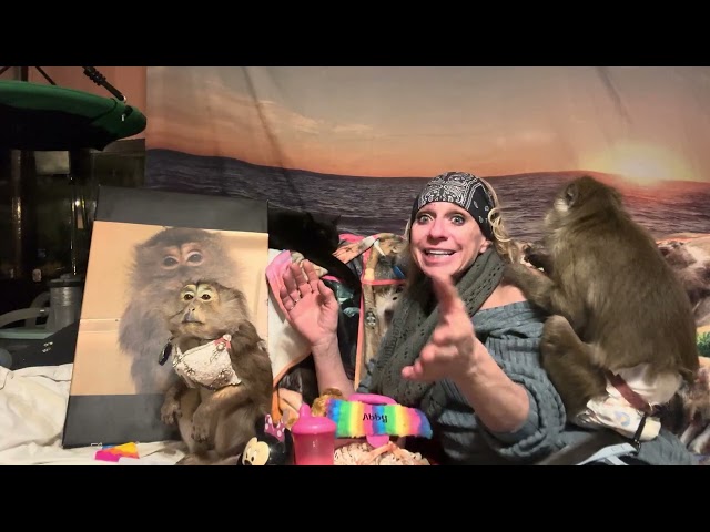 29 Years Ago Diva Monkey Angel Bullock Made Me A Monkey Mom