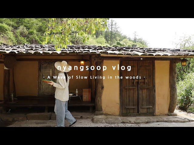 강원도 영월 촌캉스 숙소에서 일주일 살기 | 국내 힐링여행 브이로그 🌿