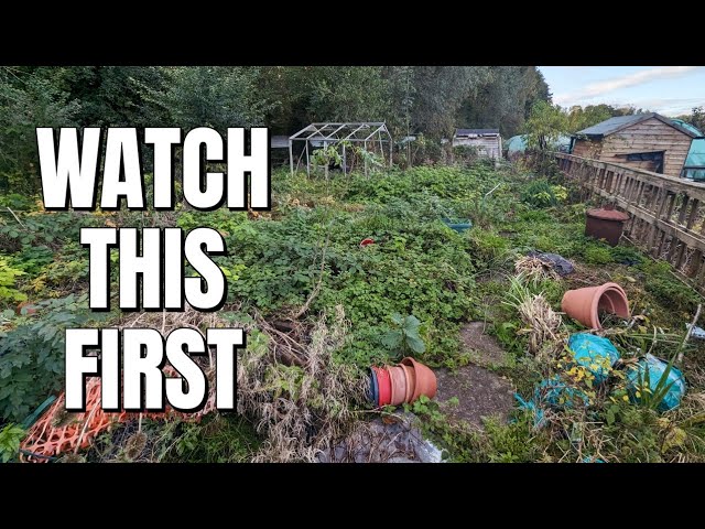 I Wish I Knew This Before Getting An Allotment
