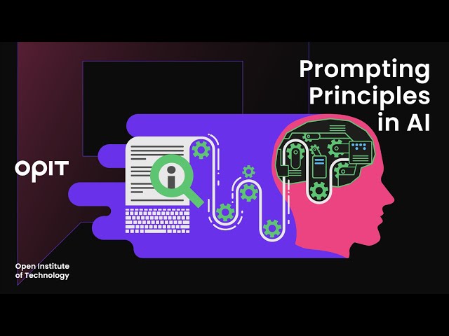 Prompting Principles | Applied AI Course