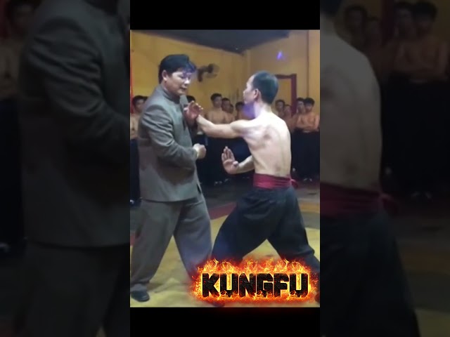 One of the most impressive kung fu demonstrations you will ever see
