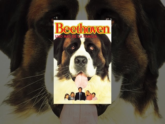 Beethoven uno más de la Familia