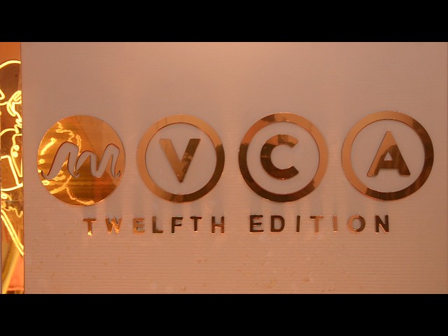 FULL LIST OF WINNERS AT #AMVCA12 (AFRICA VIEWERS CHOICE AWARDS 12)