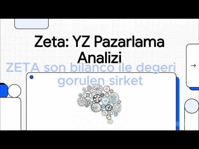 $ZETA Ne Is yapar ? | Kimlerle Birlikte Calisiyor