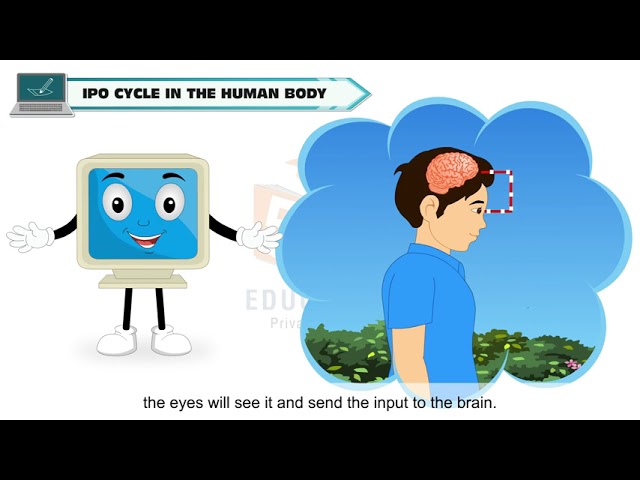 HOW DOES A COMPUTER WORK?     CLASS-2