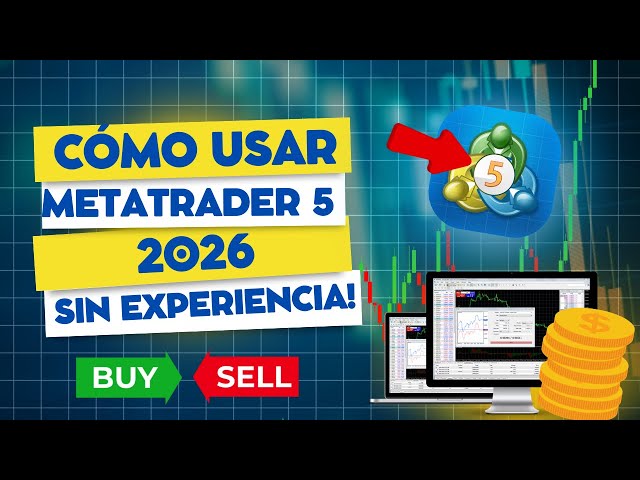 Cómo usar METATRADER 5 en 2026 para principiantes