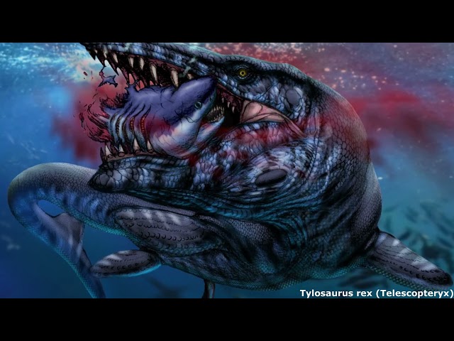 Tylosaurus rex: The Largest Mosasaur To Ever Live