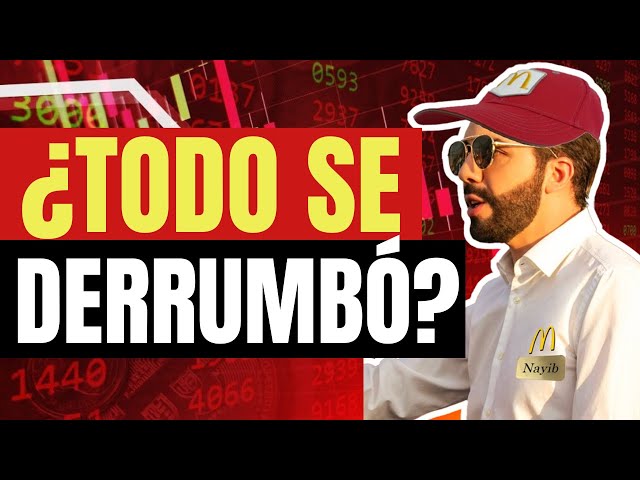 ¿Que pasa con el Criptomercado? Criptonoticias del día