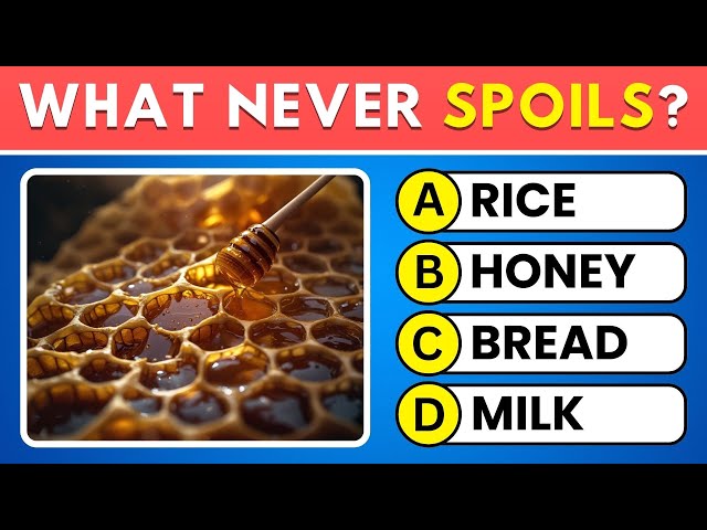 Can You Pass This General Knowledge Test? 🧠 Take This 35-Question General Knowledge Quiz! 📚