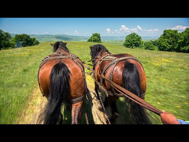 The Medieval World That Still Exists in Romania