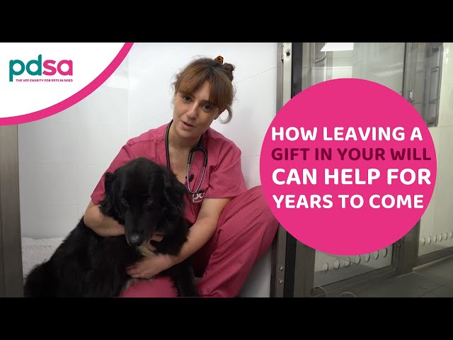 PDSA Pet Hospital Tour | How a Gift in Your Will Can Help for Years to Come