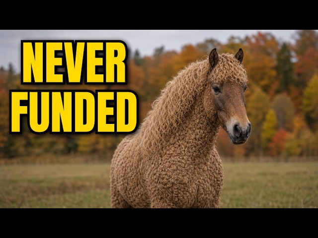 The Curly Horse: Science Cracked the Gene — but Not Where It Came From