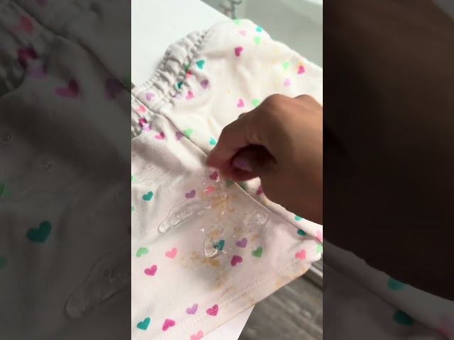 Miss Mouth's Messy Eater Stain Treater Stain Remover