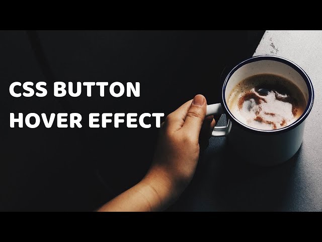 CSS Button with Amazing hover animation  - Part 3